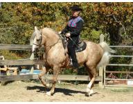 Nashboro Veronica Gold